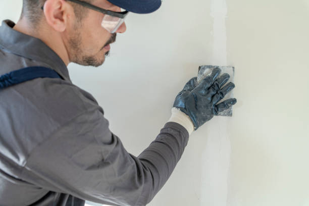 Best Real Estate Mold Inspection  in Maineville, OH